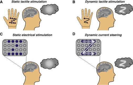 科学家研发盲人视物技术:可以“看见”字母形状 科学家研发盲人视物技术:可以“看见”字母形状