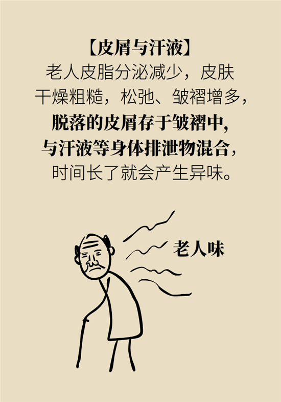 老人味科普动漫制作