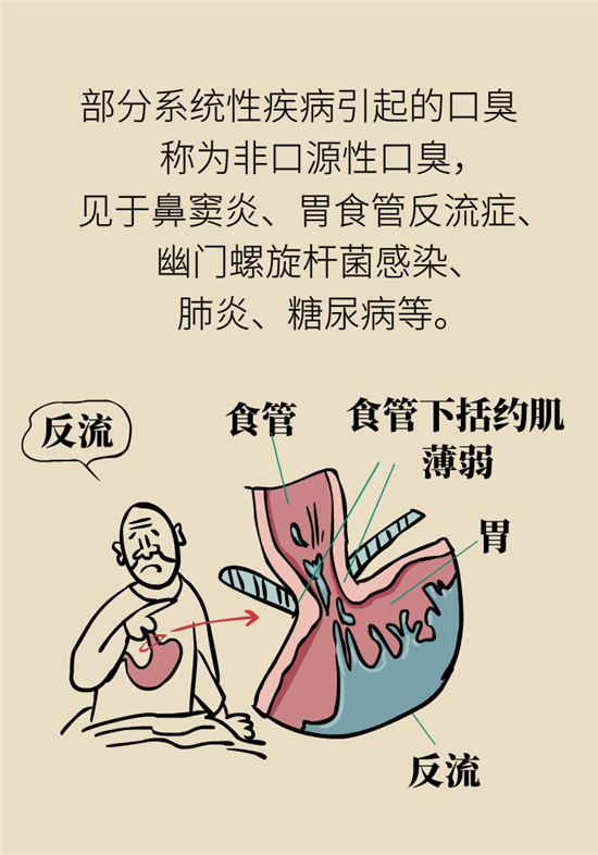 老人味科普动漫制作