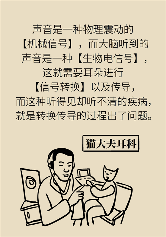 耳朵科普动漫制作