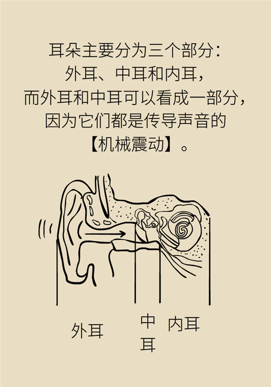 耳朵科普动漫制作