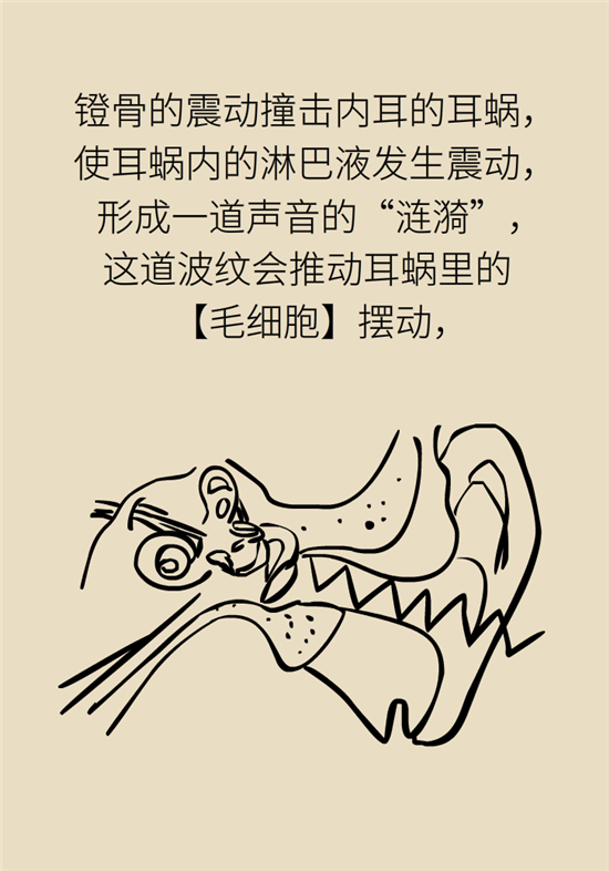 耳朵科普动漫制作