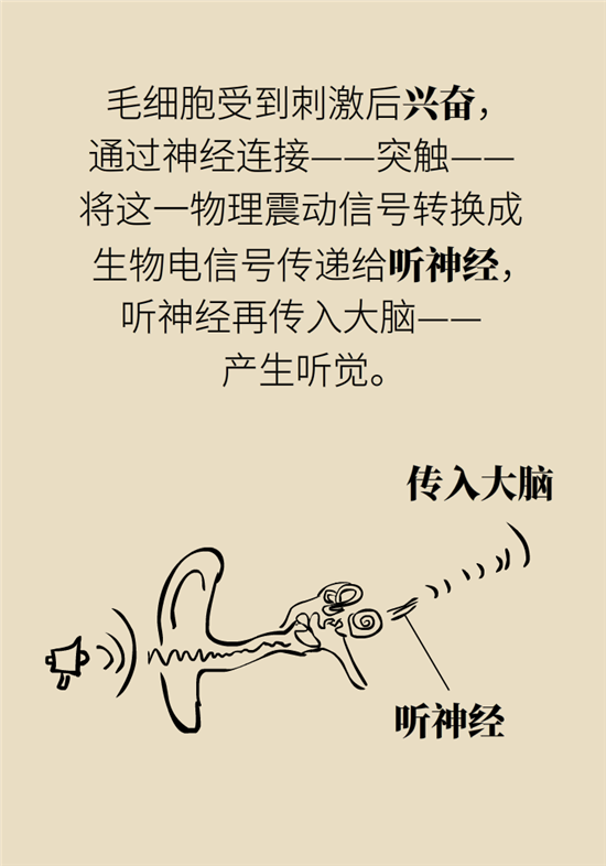 耳朵科普动漫制作