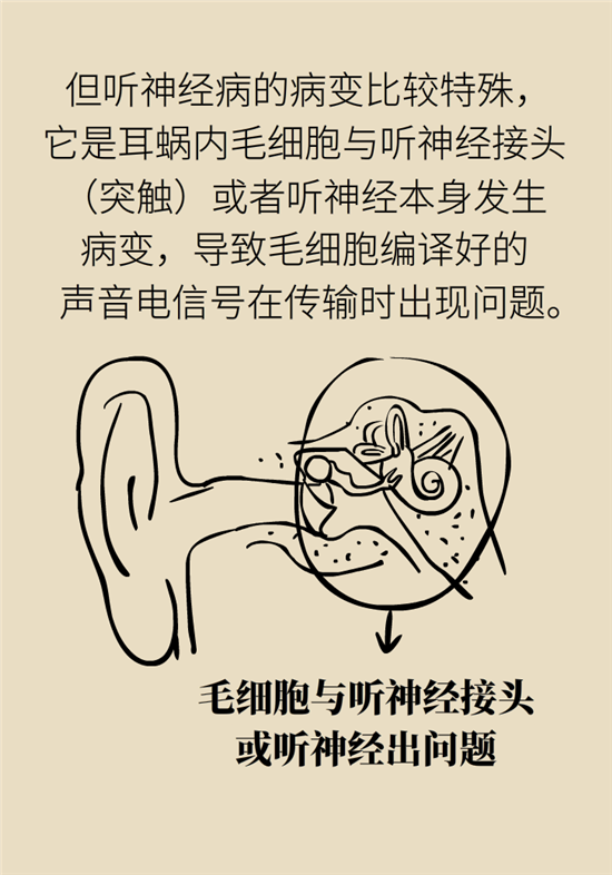 耳朵科普动漫制作