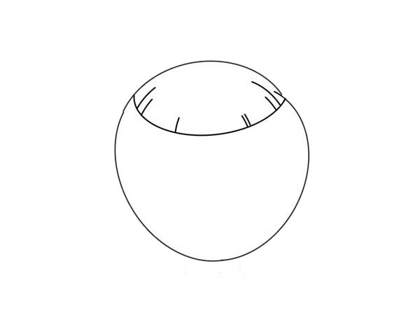 椰子简笔画怎么画,椰子简笔画步骤教程 卡通椰子简笔画画法步骤图片