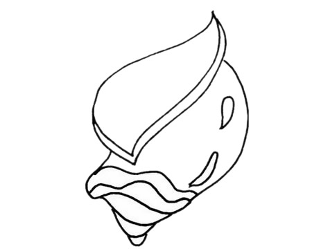 贝壳简笔画怎么画,贝壳简笔画步骤教程 贝壳简笔画图片