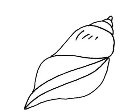 贝壳简笔画怎么画,贝壳简笔画步骤教程 贝壳简笔画图片