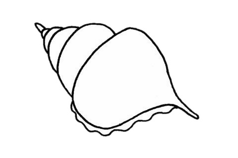 贝壳简笔画怎么画,贝壳简笔画步骤教程 贝壳简笔画大图