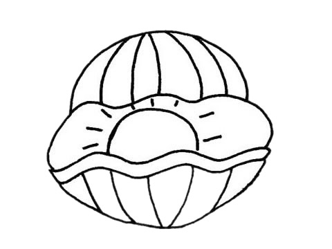 贝壳简笔画怎么画,贝壳简笔画步骤教程 贝壳简笔画图片