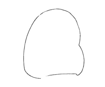 仓鼠简笔画怎么画,仓鼠简笔画步骤教程 仓鼠简笔画图片
