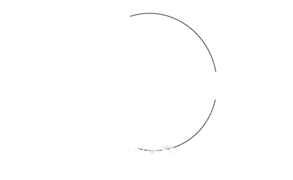热带鱼简笔画怎么画,热带鱼简笔画步骤教程 热带鱼简笔画图片大全彩色