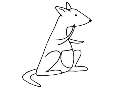 袋鼠简笔画怎么画,袋鼠简笔画步骤教程 袋鼠简笔画图片