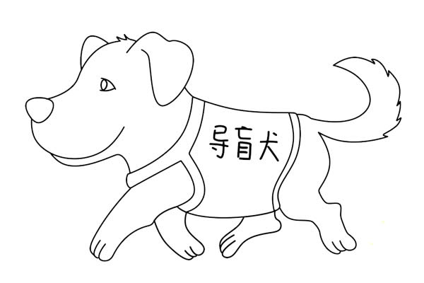 导盲犬简笔画怎么画,导盲犬简笔画步骤教程 导盲犬简笔画怎么画简单又好看