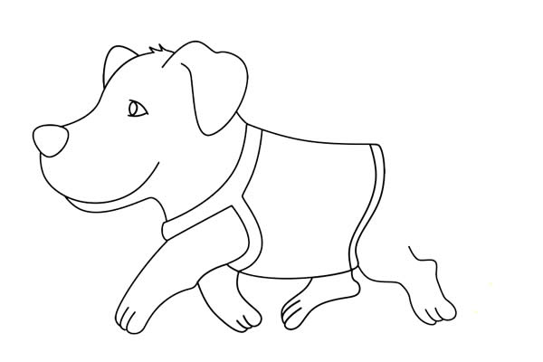 导盲犬简笔画怎么画,导盲犬简笔画步骤教程 导盲犬简笔画怎么画简单又好看
