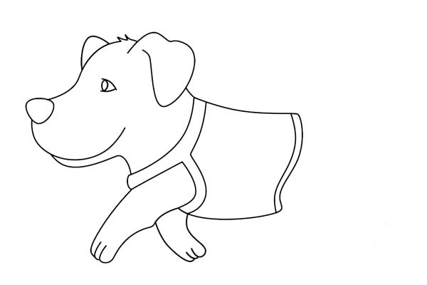 导盲犬简笔画怎么画,导盲犬简笔画步骤教程 导盲犬简笔画怎么画简单又好看