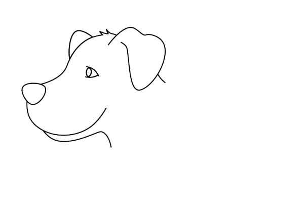 导盲犬简笔画怎么画,导盲犬简笔画步骤教程 导盲犬简笔画怎么画简单又好看
