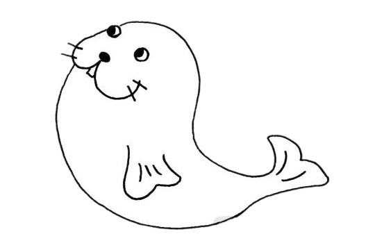 海豹怎么画,画海豹的画法步骤教程 海豹简笔画图片