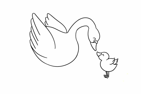 大白鹅怎么画,画大白鹅的画法步骤教程 鹅妈妈和小鹅宝宝的简笔画 大白鹅简笔画图片