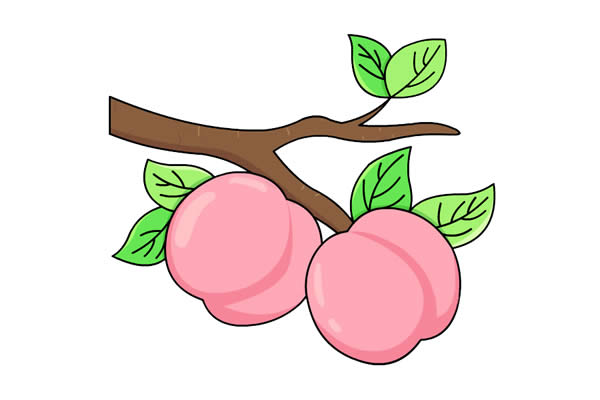 树枝上的桃子怎么画,画树枝上的桃子的画法步骤教程 树枝上的桃子简笔画彩色画法
