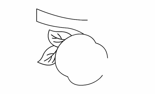 树枝上的桃子怎么画,画树枝上的桃子的画法步骤教程 树枝上的桃子简笔画彩色画法