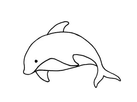 海豚怎么画,画海豚的画法步骤教程 怎么画海豚简单画法