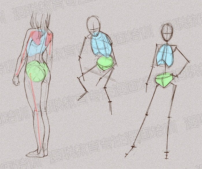 零基础学绘画教程!如何正确掌握绘画人体结构? 零基础学绘画教程!如何正确掌握绘画人体结构?