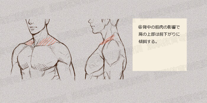零基础学绘画教程!如何正确掌握绘画人体结构? 零基础学绘画教程!如何正确掌握绘画人体结构?