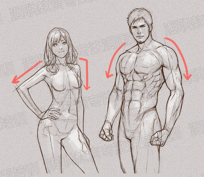 零基础学绘画教程!如何正确掌握绘画人体结构? 零基础学绘画教程!如何正确掌握绘画人体结构?