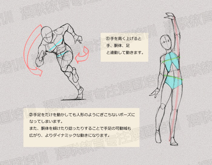 零基础学绘画教程!如何正确掌握绘画人体结构? 零基础学绘画教程!如何正确掌握绘画人体结构?