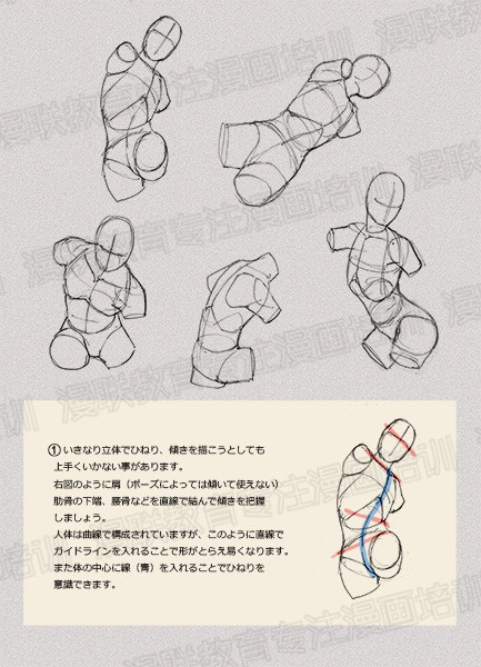 零基础学绘画教程!如何正确掌握绘画人体结构? 零基础学绘画教程!如何正确掌握绘画人体结构?