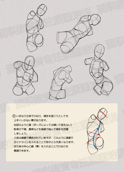 零基础学绘画教程！如何正确掌握绘画人体结构？