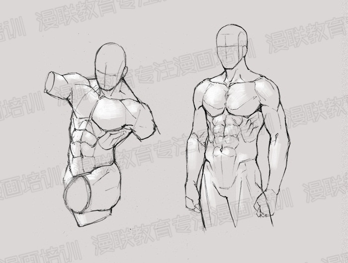 零基础学绘画教程!如何正确掌握绘画人体结构? 零基础学绘画教程!如何正确掌握绘画人体结构?