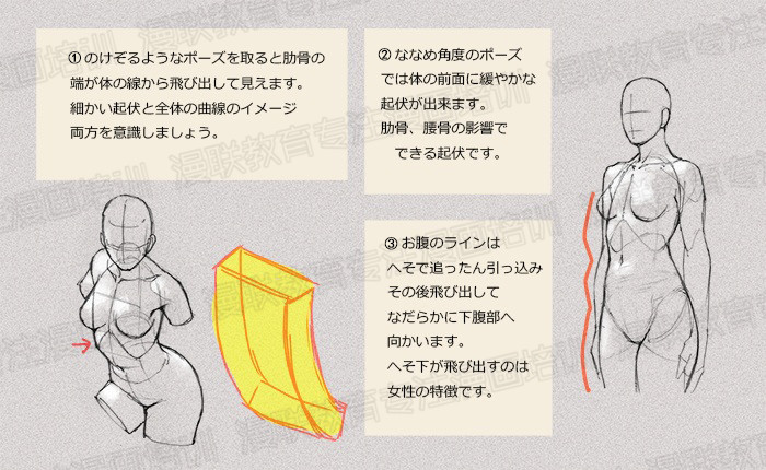 零基础学绘画教程!如何正确掌握绘画人体结构? 零基础学绘画教程!如何正确掌握绘画人体结构?