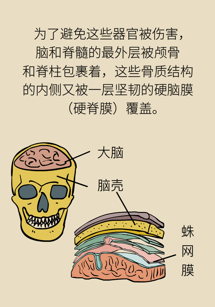 练瑜伽把脑脊液拉漏了！常见的“瑜伽病”你知道多少