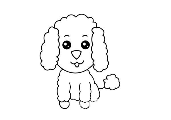 泰迪犬怎么画,画泰迪犬步骤教程 可爱泰迪犬简笔画画法步骤图片