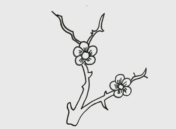 手绘树枝上的梅花,手绘树枝上的梅花的画法步骤教程 梅花简笔画画法步骤图片