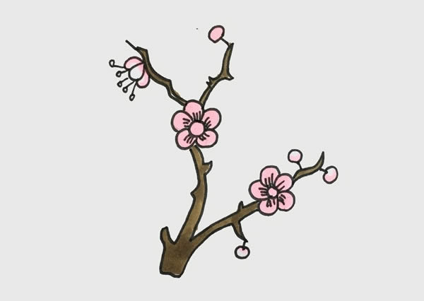 手绘树枝上的梅花,手绘树枝上的梅花的画法步骤教程 梅花简笔画画法步骤图片