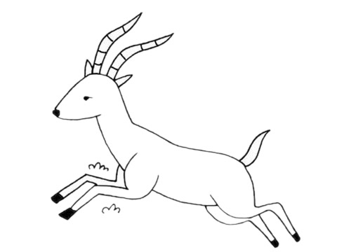 手绘羚羊怎么画呢羚羊手绘的画法步骤教程