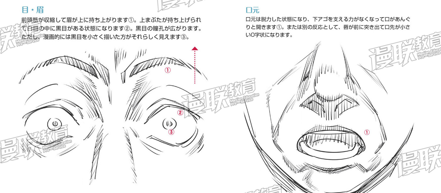 「教程」漫画人物6种基本表情的画法 part 04 “惊”的表情画法 「教程」漫画人物6种基本表情的画法 part 04 “惊”的表情画法