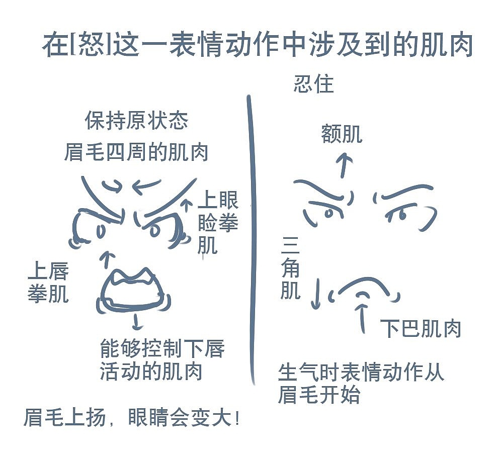 「动漫设计」人物表情大集合之【怒】发冲冠 「动漫设计」人物表情大集合之【怒】发冲冠