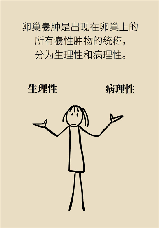 卵巢囊肿科普动漫：卵巢囊肿是肿瘤吗？要学会这样区分