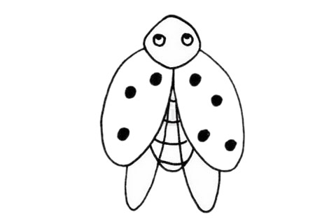 手绘瓢虫怎么画呢,瓢虫的手绘画法步骤教程 瓢虫简笔画图片