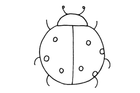 手绘瓢虫怎么画呢,瓢虫的手绘画法步骤教程 瓢虫简笔画图片