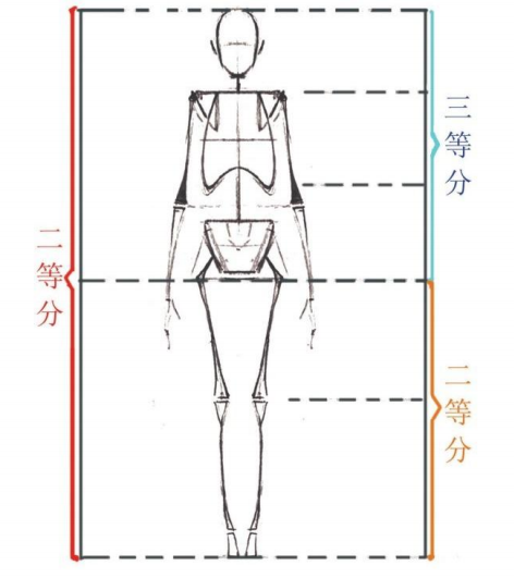 「动漫设计教程」人体绘画基础 part 01 认识骨骼(1) 「动漫设计教程」人体绘画基础 part 01 认识骨骼(1)