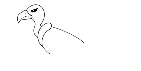 秃鹫手绘怎么画呢,手绘秃鹫的画法步骤教程 秃鹫简笔画图片