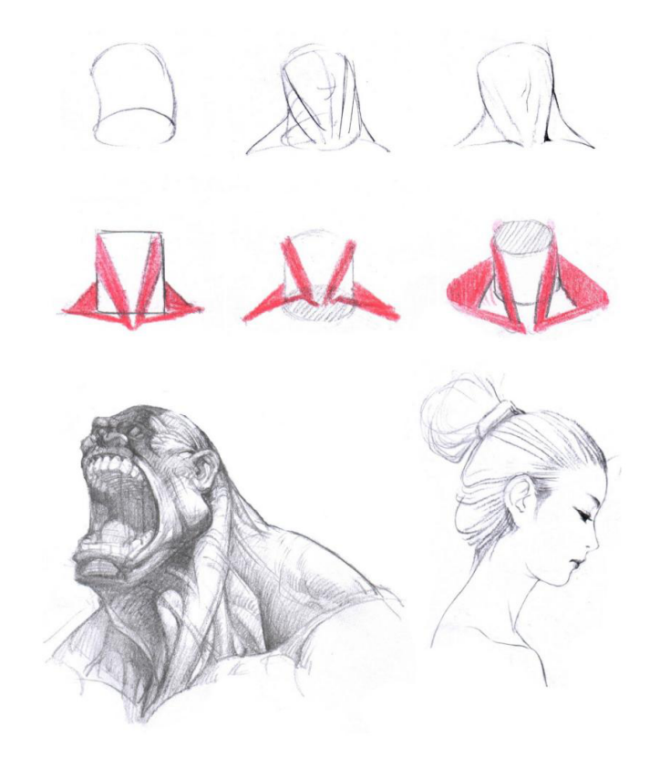 「动漫设计」人体绘画基础 part 02 认识肌肉（1）