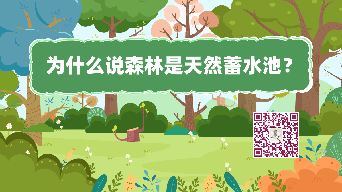 十万个为什么标题(森林蓄水池)1200.png 十万个为什么标题(森林蓄水池)1200.png