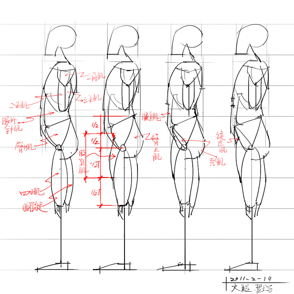 「动漫设计」分享一波绘画专用人体解剖素材 part 04 「动漫设计」分享一波绘画专用人体解剖素材 part 04