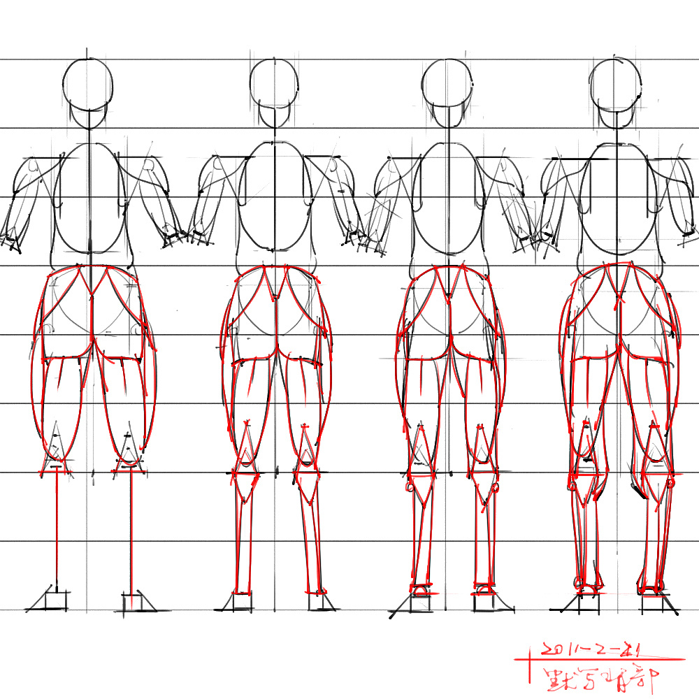 「动漫设计」分享一波绘画专用人体解剖素材 part 04 「动漫设计」分享一波绘画专用人体解剖素材 part 04