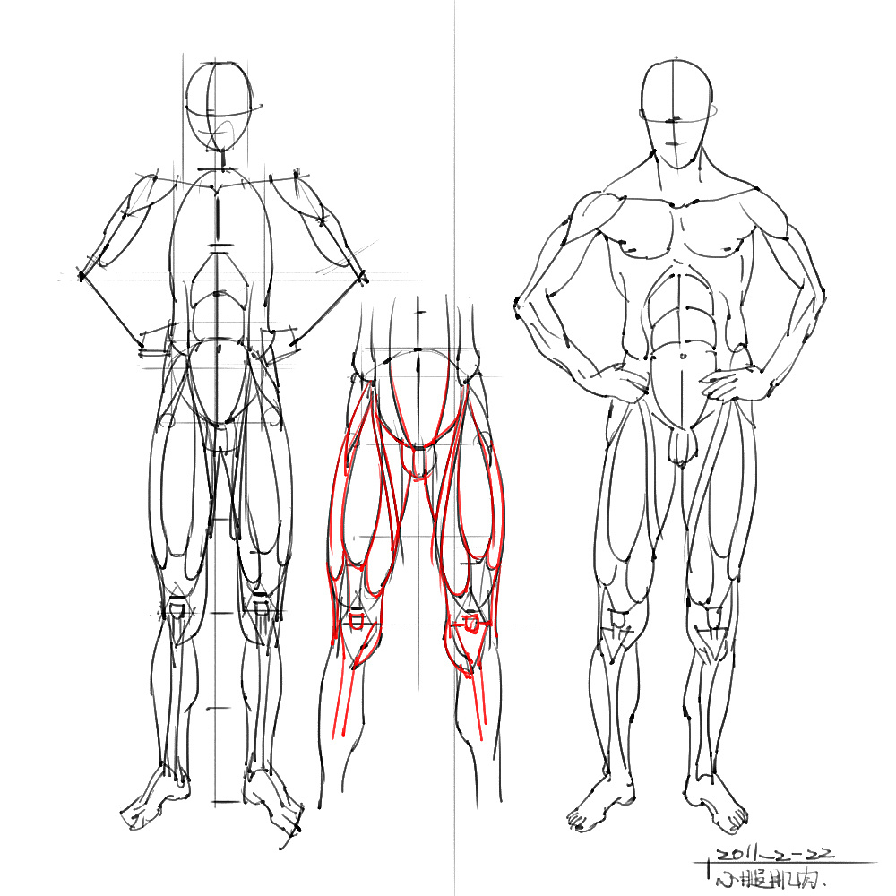 「动漫设计」分享一波绘画专用人体解剖素材 part 05